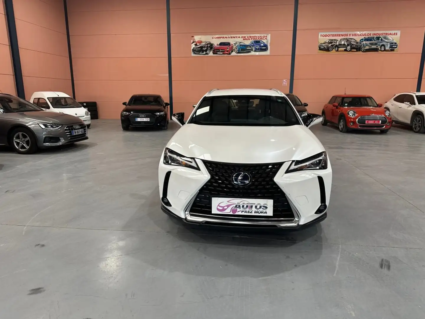 Lexus UX 250h Business Navigation 2WD Blanco - 2