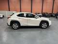 Lexus UX 250h Business Navigation 2WD Blanco - thumbnail 5