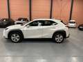 Lexus UX 250h Business Navigation 2WD Blanco - thumbnail 4
