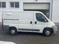 Fiat Ducato 100 2.2 Diesel,AHK Weiß - thumbnail 14