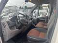 Fiat Ducato 100 2.2 Diesel,AHK Weiß - thumbnail 12