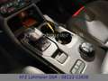 Ford Ranger Ranger Raptor 3.0 e-4WD DK *Rollo*5 Jahre Gar.* Grau - thumbnail 30