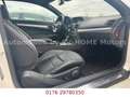 Mercedes-Benz E 350 E -Klasse Coupe E 350 CDI Avantgarde Bianco - thumbnail 12