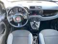 Fiat Panda 1.0 FireFly S&S Hybrid Easy PREZZO REALE Gris - thumbnail 12
