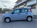 Fiat Panda 1.0 FireFly S&S Hybrid Easy PREZZO REALE Gris - thumbnail 3
