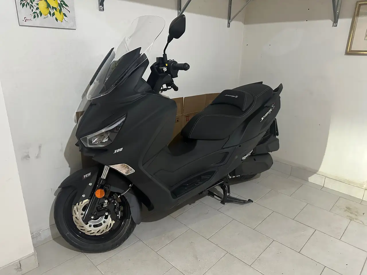 Sym Joymax 300