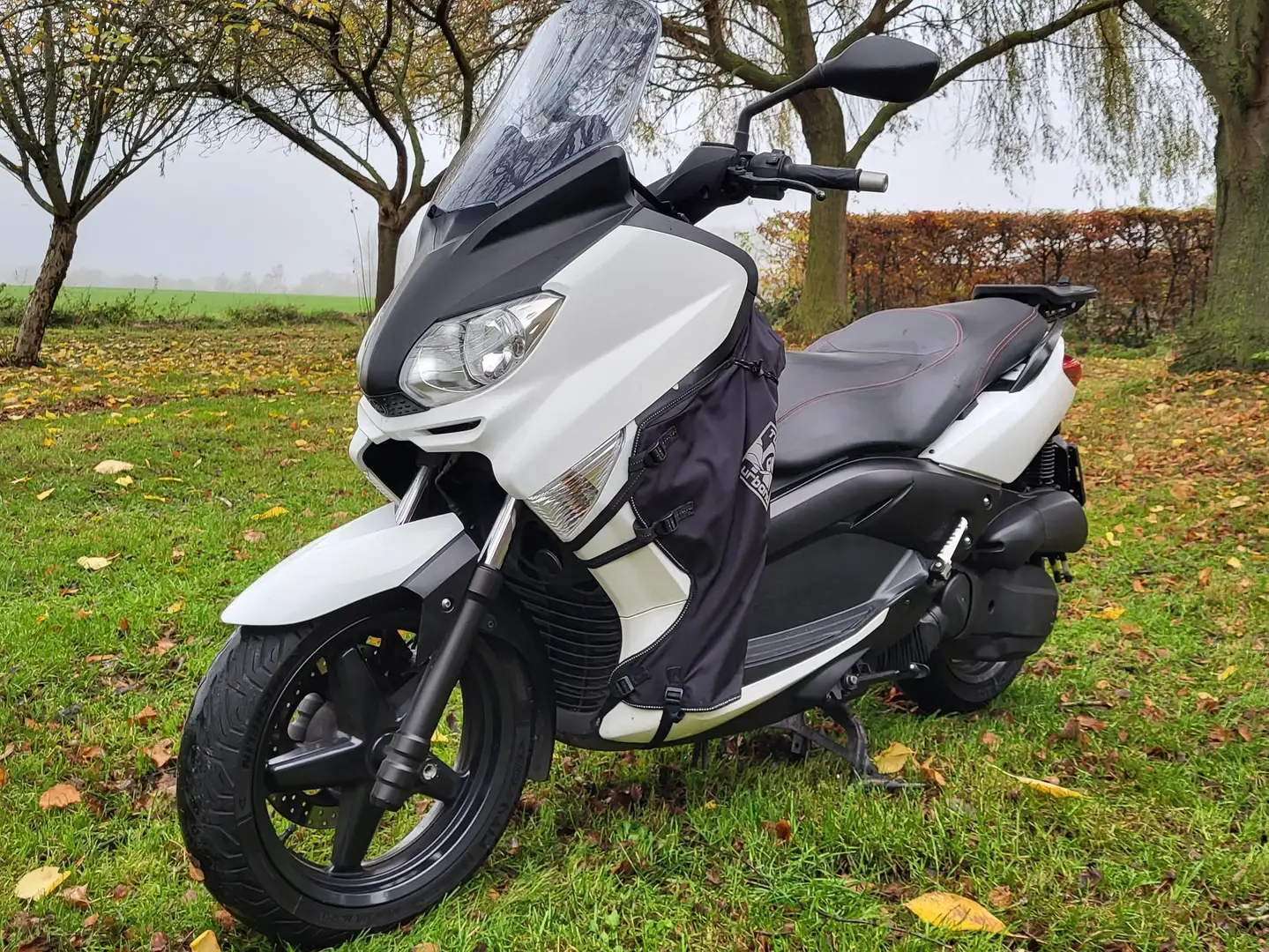 Yamaha X-Max 125 YP125R Wit - 1