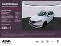Skoda Fabia Combi Clever Best of 1.0 TSI LED Navi PDC Wit - thumbnail 1