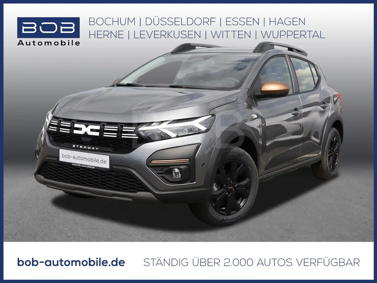 Dacia Sandero Stepway Extreme+ ECO-G 100 NAVI SHZ PDC Grigio - 1