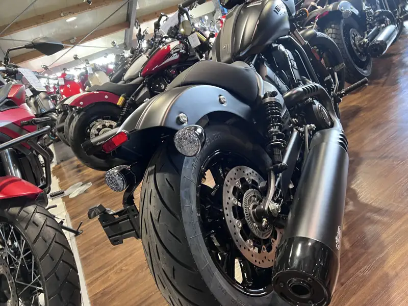 Indian Sport Scout - foto 3