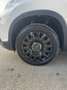 Fiat 500L 500L 2021 Cross Cross 1.3 mjt 95cv my20 Bianco - thumbnail 8