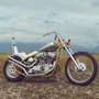 Harley-Davidson XL 1200 Chopper Vintage Oro - thumbnail 1