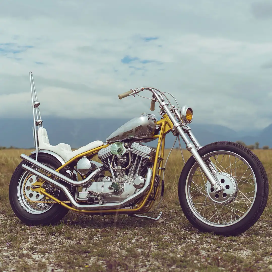 Harley-Davidson XL 1200 Chopper Vintage Oro - 1