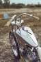 Harley-Davidson XL 1200 Chopper Vintage Oro - thumbnail 5