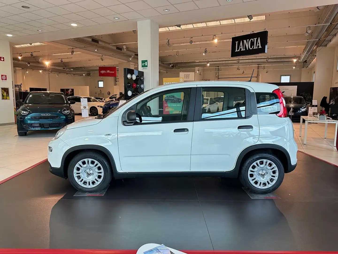 Fiat Panda 1.0 FireFly S&S Hybrid Bianco - 2