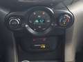 Ford EcoSport Titanium Grau - thumbnail 10
