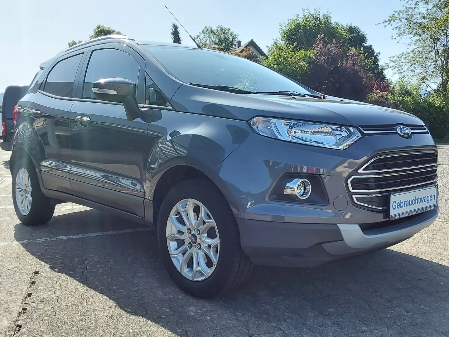 Ford EcoSport Titanium Grau - 2