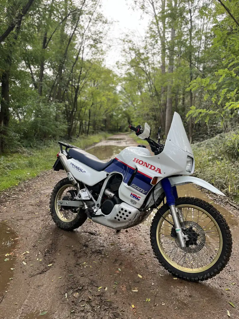 Honda Transalp HRC - 1