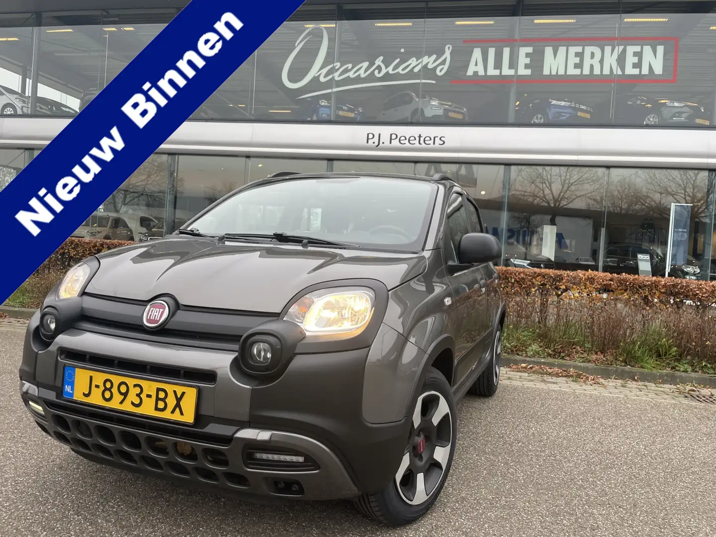 Fiat Panda 1.0 Hybrid City Cross Airco - Bluetooth - Dakrails Grijs - 1
