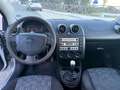 Ford Fiesta 5p 1.2 16v Tecno Grey - thumbnail 9