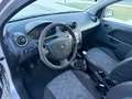 Ford Fiesta 5p 1.2 16v Tecno Grey - thumbnail 8