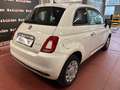 Fiat 500 1.0 hybrid Cult 70cv Bianco - thumbnail 3