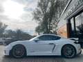 Porsche Cayman 718 Cayman GT4 Clubsport/Carbon Approved 11.2026 Weiß - thumbnail 8