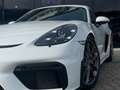 Porsche Cayman 718 Cayman GT4 Clubsport/Carbon Approved 11.2026 Weiß - thumbnail 10