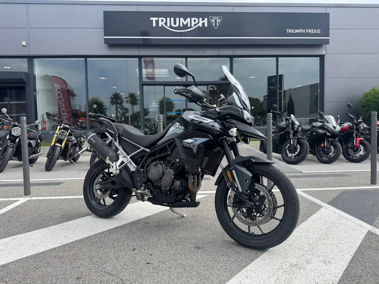 Triumph Tiger 900 - 2