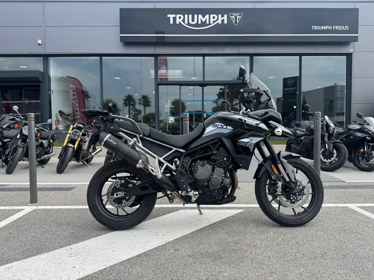 Triumph Tiger 900 - 1