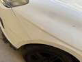 Lancia Delta 1.6 mjt Platino 120cv selectronic dpf - thumbnail 13