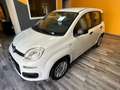 Fiat Panda 1.2 Lounge - thumbnail 5