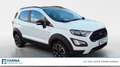 Ford EcoSport 1.0 EcoBoost Active Bianco - thumbnail 7