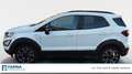 Ford EcoSport 1.0 EcoBoost Active Bianco - thumbnail 2