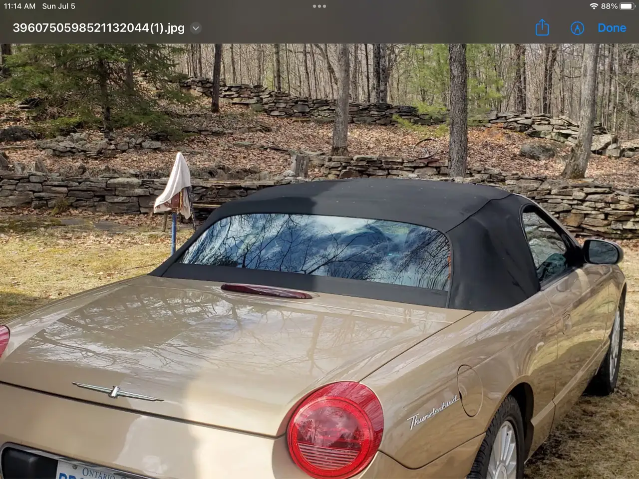 Ford Thunderbird fotografie Ford Thunderbird