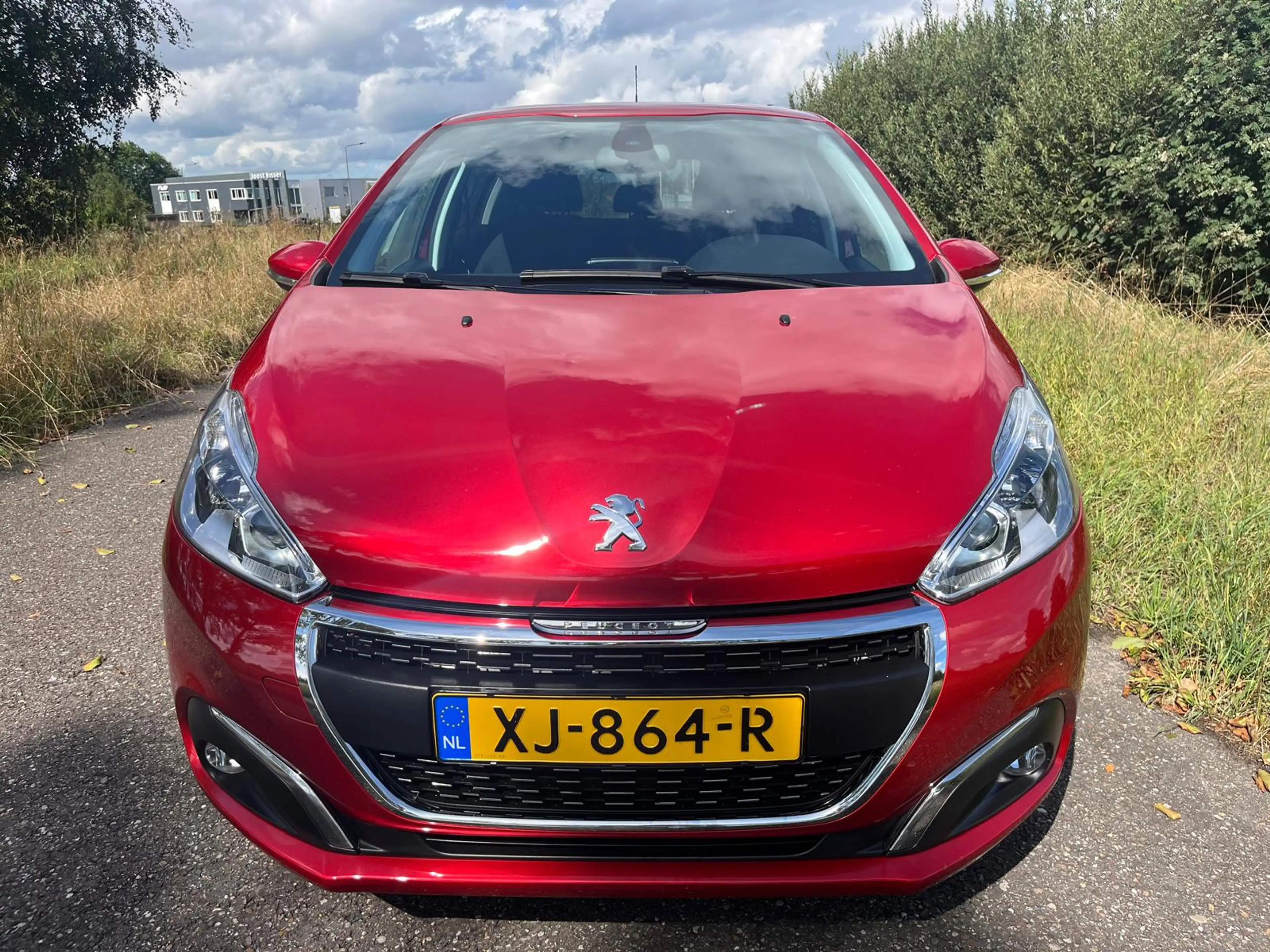 Peugeot 208 1.2 PureTech Signature — photo 5