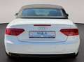 Audi A5 2.0 TDI/Cabrio/Garantie Weiß - thumbnail 10