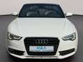 Audi A5 2.0 TDI/Cabrio/Garantie Weiß - thumbnail 3