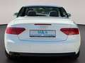 Audi A5 2.0 TDI/Cabrio/Garantie Weiß - thumbnail 6