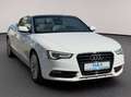Audi A5 2.0 TDI/Cabrio/Garantie Weiß - thumbnail 2