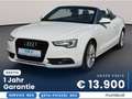 Audi A5 2.0 TDI/Cabrio/Garantie Weiß - thumbnail 1