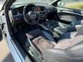 Audi A5 2.0 TDI/Cabrio/Garantie Weiß - thumbnail 12