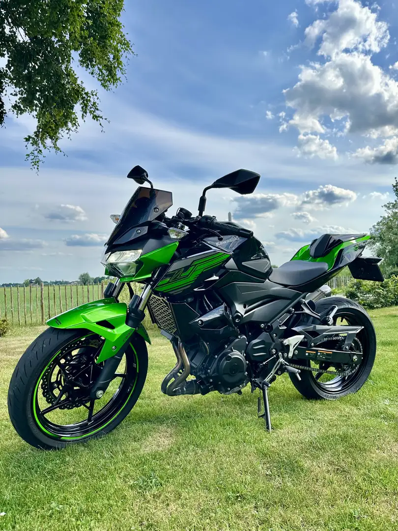 Kawasaki Z 400 Kawasaki Z400 Performance 2019 - Akrapovic Groen - 2