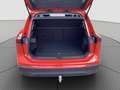 Volkswagen Tiguan GOAL 1.5 eTSI DSG AHK Navi LED ACC Kamera Rouge - thumbnail 11