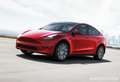 Tesla Model Y Model Y Long Range Dual Motor awd - thumbnail 1