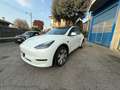 Tesla Model Y Model Y Long Range Dual Motor awd - thumbnail 4