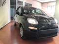Fiat Panda Pandina 1.0 firefly hybrid s Schwarz - thumbnail 3