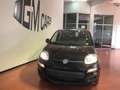 Fiat Panda Pandina 1.0 firefly hybrid s Schwarz - thumbnail 2