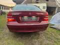 Mercedes-Benz C 270 Avantgarde 270 CDI Schalter Red - thumbnail 3