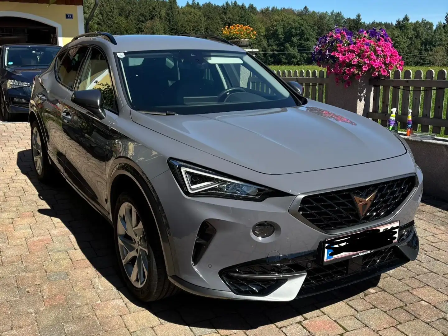 CUPRA Formentor Formentor 1,5 TSI ACT Cupra Cupra Grau - 2
